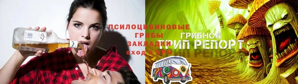 индика Баксан