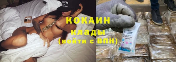 индика Баксан