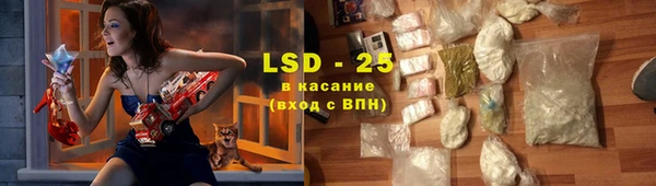 индика Баксан