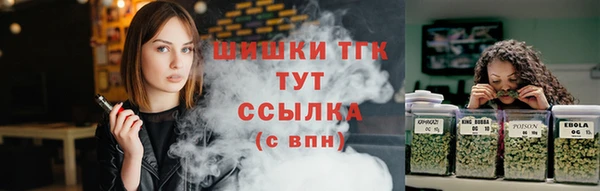 индика Баксан
