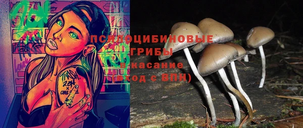 apvp Дмитровск
