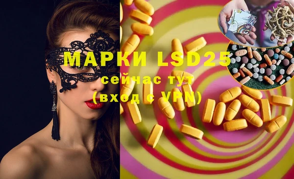 индика Баксан