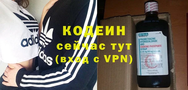 индика Баксан
