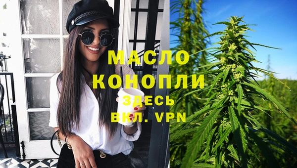 индика Баксан